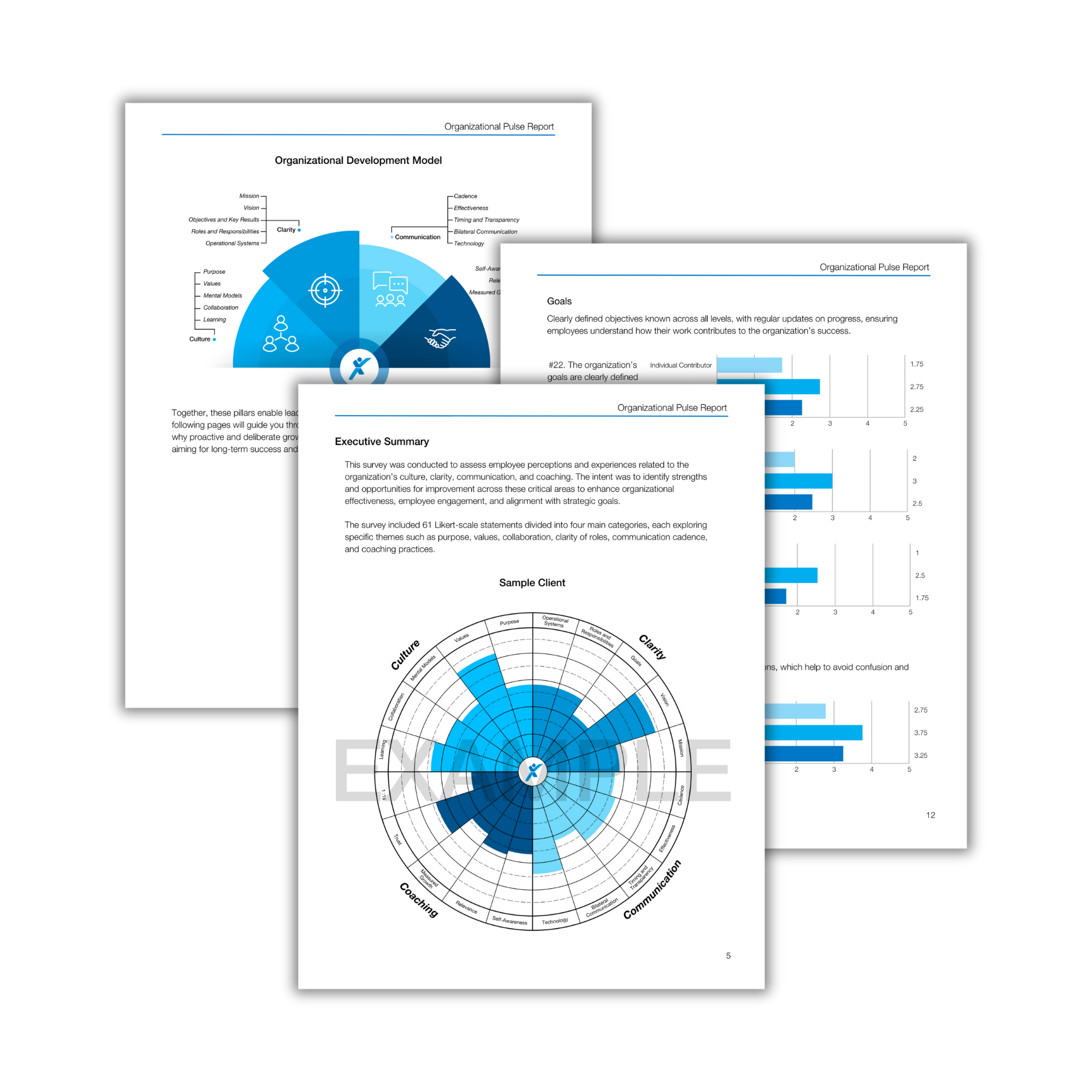 organizational pulse