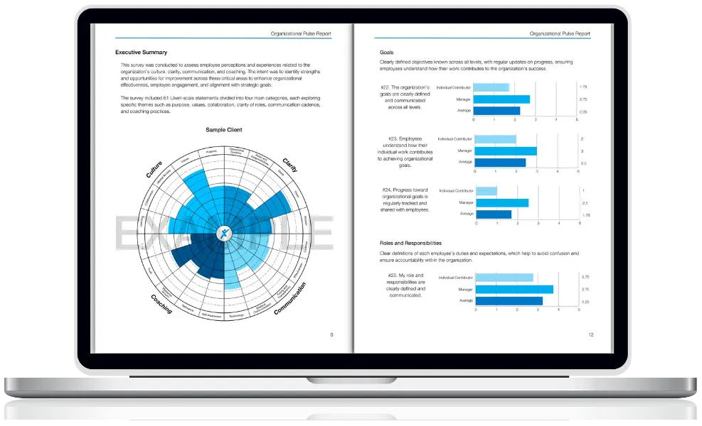Organizational Assessment Organizational Assessment